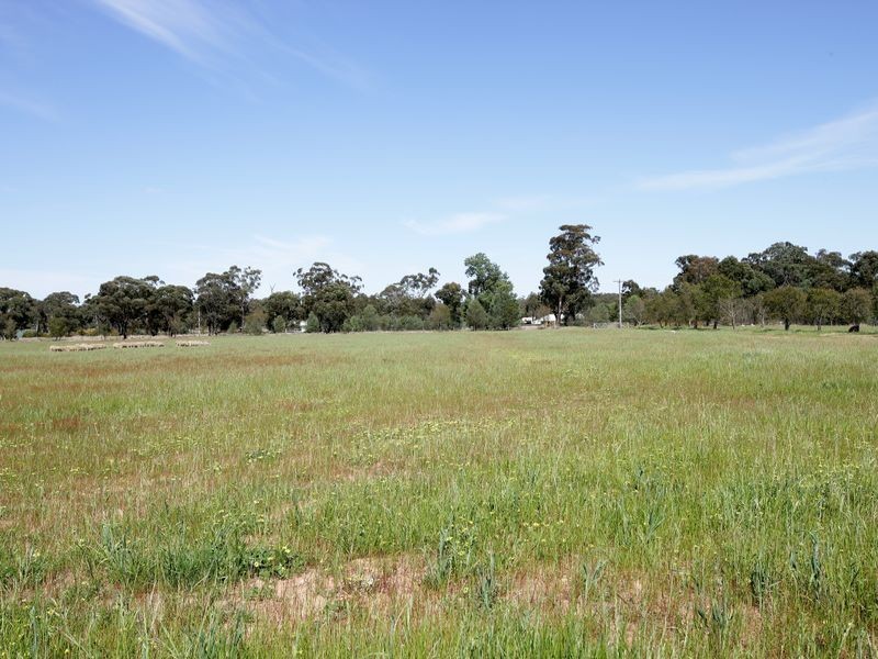 85 River Street, Alfredtown NSW 2650