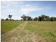 85 River Street, Alfredtown NSW 2650