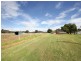 6915 Holbrook Road, Wagga Wagga NSW 2650