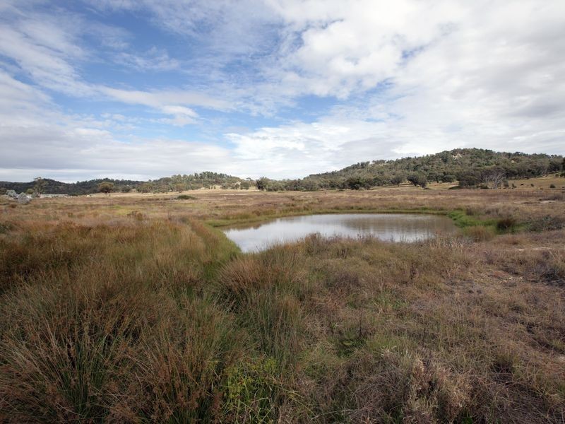 6915 Holbrook Road, Wagga Wagga NSW 2650