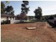 22 Callaghan Street, Ashmont NSW 2650