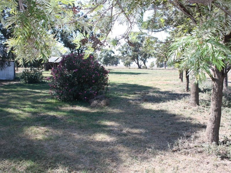 RMB 178 Lockhart Road, French Park NSW 2655