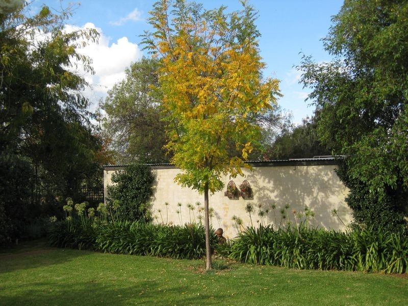 2856 Olympic Way, Wagga Wagga NSW 2650