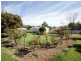 7-9 Pearson Street, Uranquinty NSW 2652