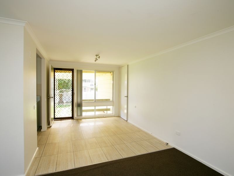 42 Callaghan Street, Ashmont NSW 2650