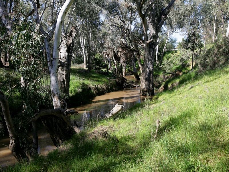 1/ Norman Street, The Rock NSW 2655