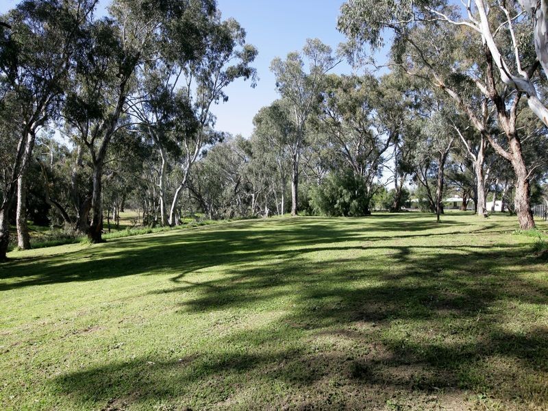 1/ Norman Street, The Rock NSW 2655