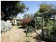 29 Ashmont Avenue, Ashmont NSW 2650