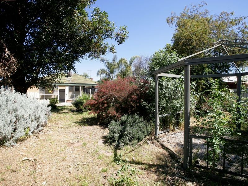 29 Ashmont Avenue, Ashmont NSW 2650