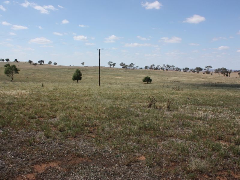 1 Dart Hill Lane, Alfredtown NSW 2650