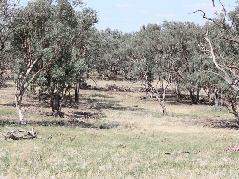 1 Dart Hill Lane, Alfredtown NSW 2650