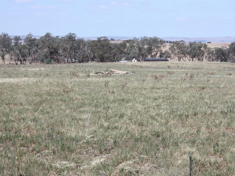 1 Dart Hill Lane, Alfredtown NSW 2650