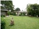 21 Benedict Avenue, San Isidore NSW 2650