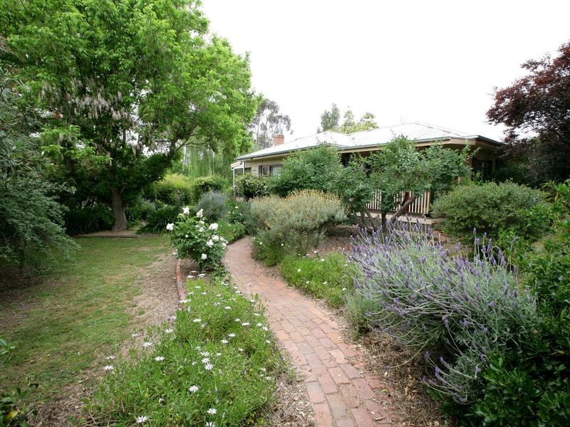 21 Benedict Avenue, San Isidore NSW 2650