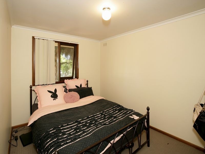 56 Mumford Street, Ashmont NSW 2650