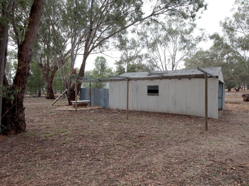50 Coursing Park Road, Wagga Wagga NSW 2650