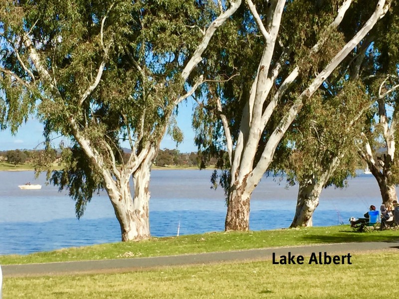 58-60 Inglis Street, Lake Albert NSW 2650