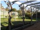102 Meadow Street, Kooringal NSW 2650