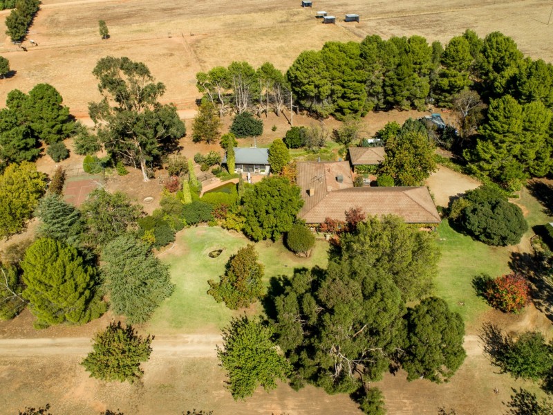 25 Cummins Drive, San Isidore NSW 2650