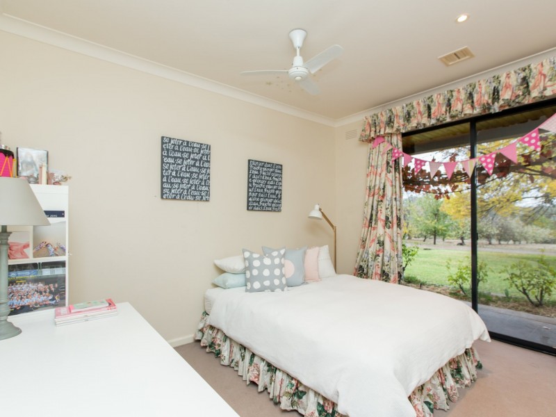 25 Cummins Drive, San Isidore NSW 2650