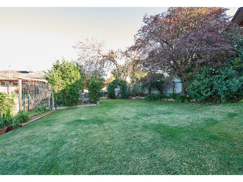 1 Bellevue Parade, Kooringal NSW 2650