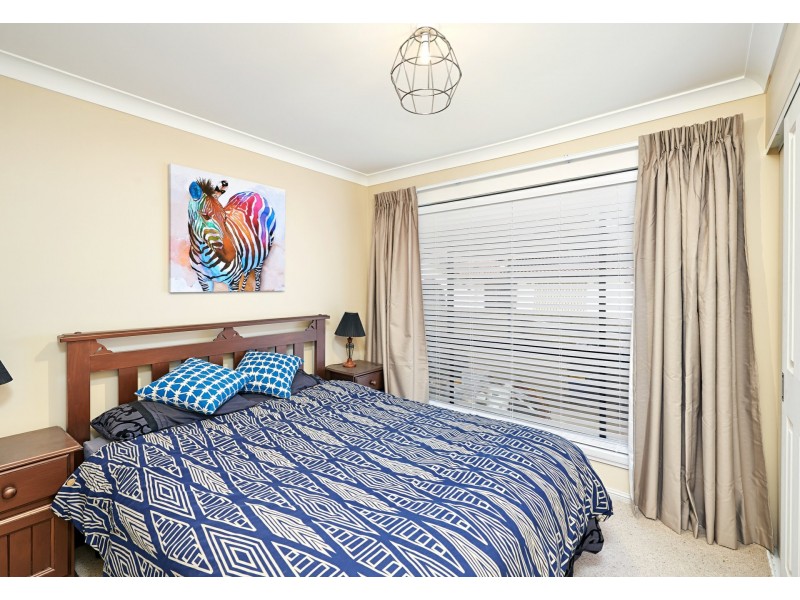 10 Carmody Street, Kooringal NSW 2650