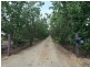 50 Gregadoo Road, Lake Albert NSW 2650