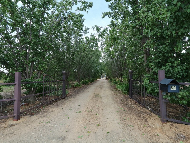 50 Gregadoo Road, Lake Albert NSW 2650