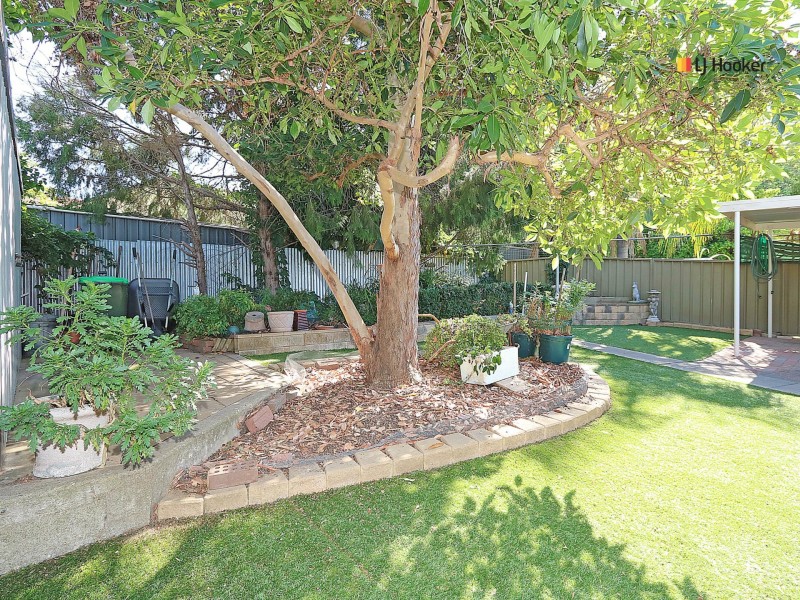 65 Fay Avenue, Kooringal NSW 2650