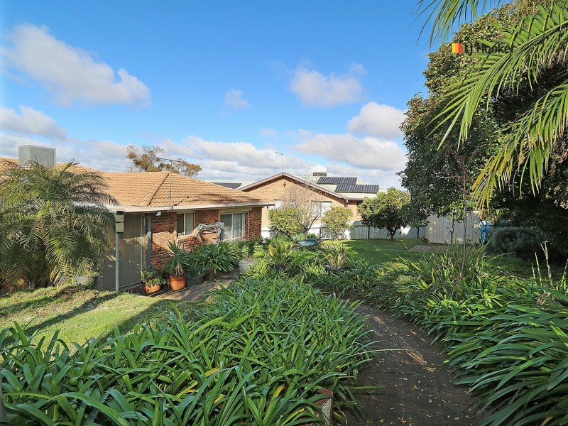 86 Amaroo Street, Kooringal NSW 2650