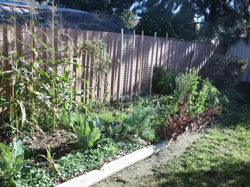 18 Harrier Street, Estella NSW 2650