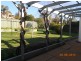 102 Meadow Street, Kooringal NSW 2650