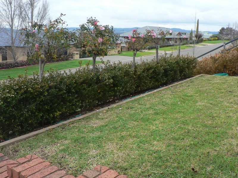 49 Henwood Avenue, Kooringal NSW 2650