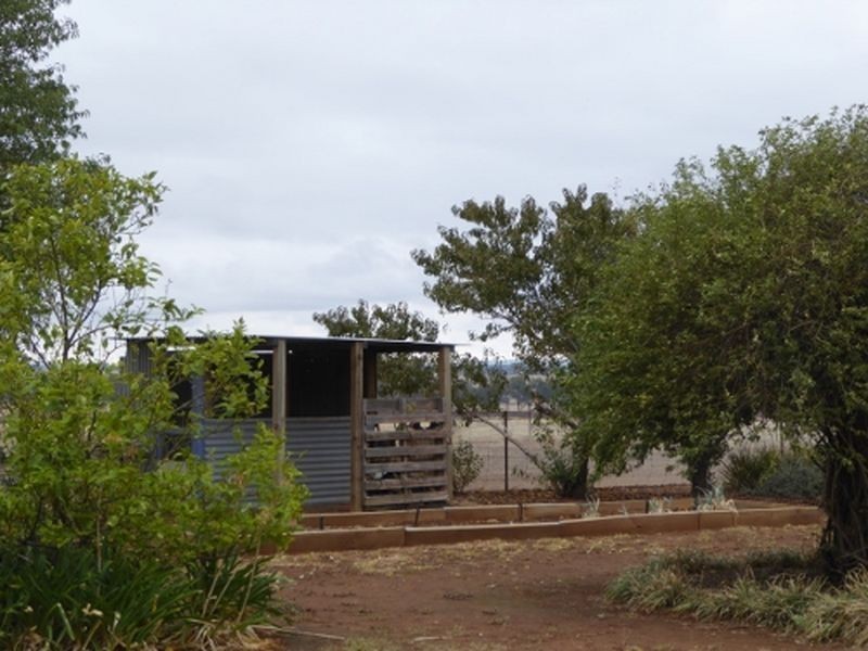 120 Harveys Road, Uranquinty NSW 2652