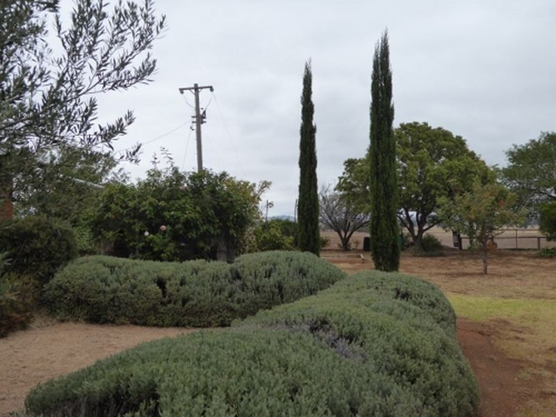 120 Harveys Road, Uranquinty NSW 2652