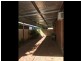 113 Trail Street, Wagga Wagga NSW 2650