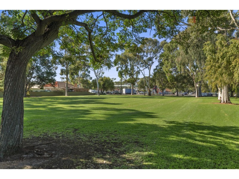 3 Shetland Avenue, Marion SA 5043