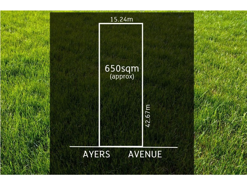 81 Ayers Avenue, Daw Park SA 5041