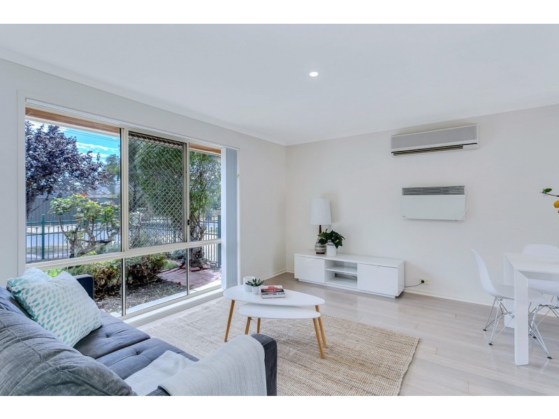 2A Shearing Street, Oaklands Park SA 5046