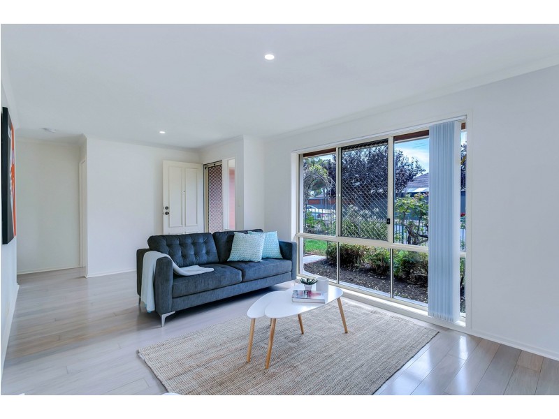 2A Shearing Street, Oaklands Park SA 5046