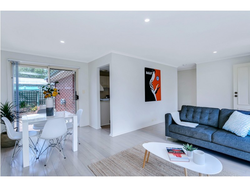 2A Shearing Street, Oaklands Park SA 5046