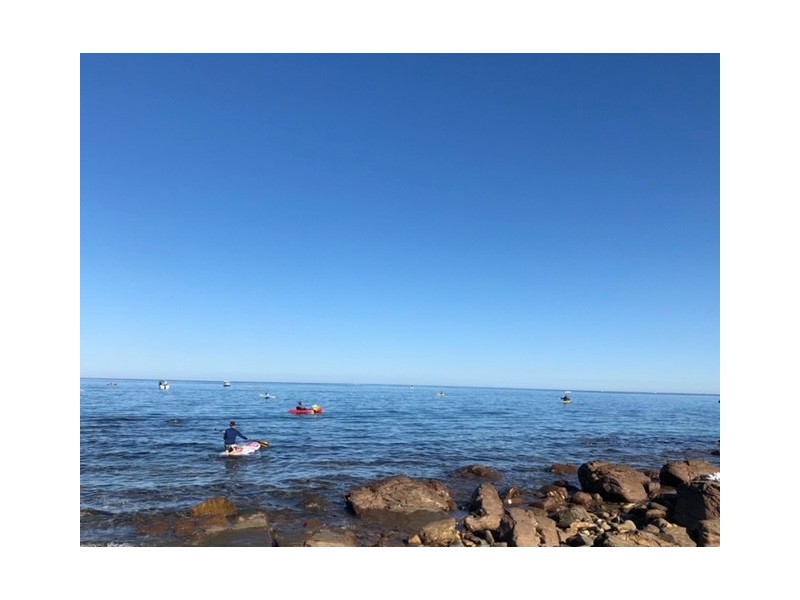 8 George Court, Marino SA 5049