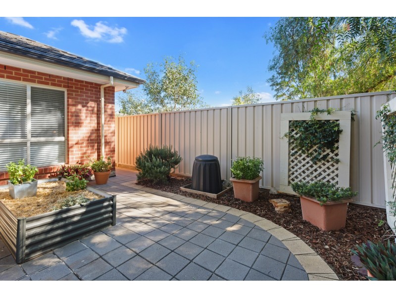 23B Pemberton Street, Oaklands Park SA 5046