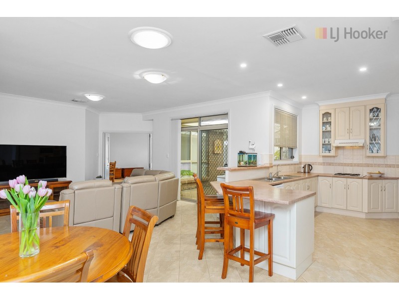 36 Mcfarlane Avenue, Mitchell Park SA 5043