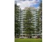 401/25 Colley Terrace, Glenelg SA 5045