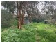 48 Price Avenue, Lower Mitcham SA 5062
