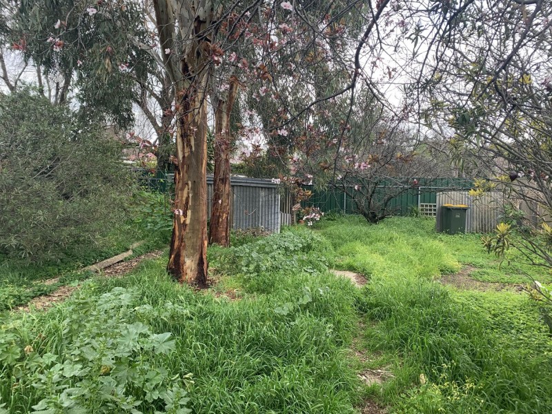 48 Price Avenue, Lower Mitcham SA 5062