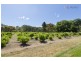 12 Salrak Avenue, Marion SA 5043