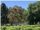 12 Salrak Avenue, Marion SA 5043