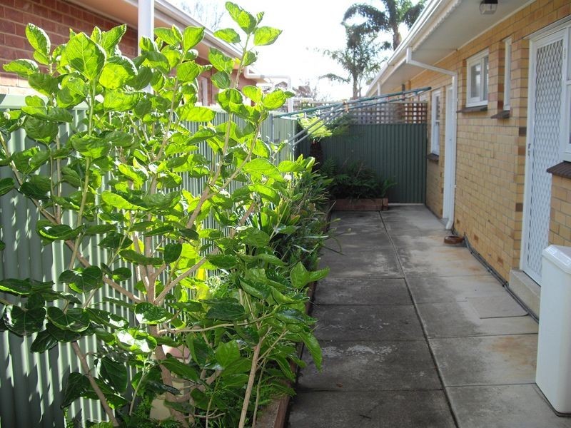 1/52 Eton Street, Somerton Park SA 5044